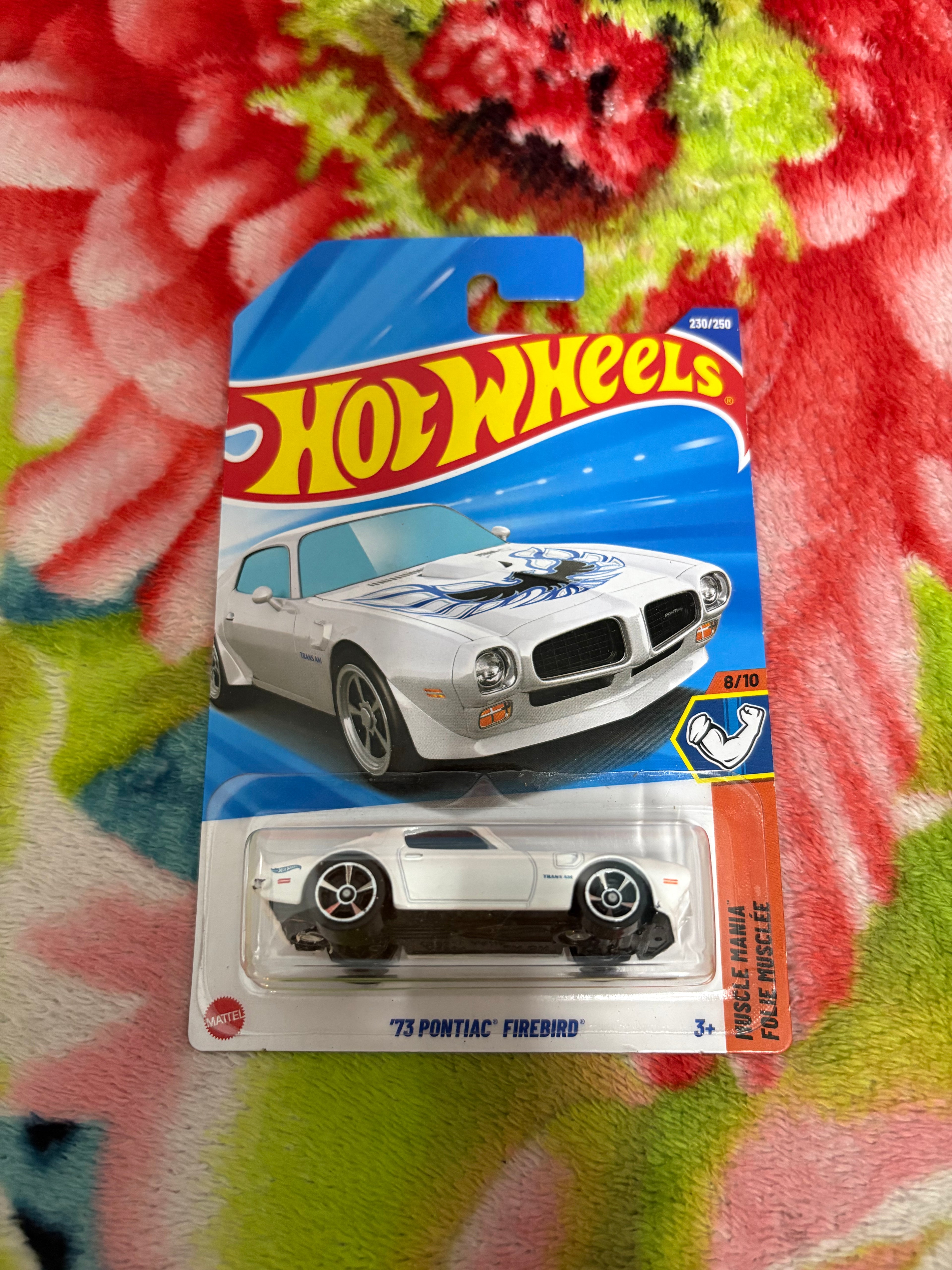 73 Pontiac Firebird